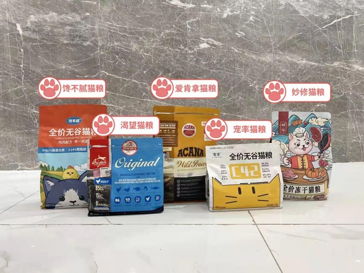 猫咪的这几种行为代表它很想念你快去回应它吧