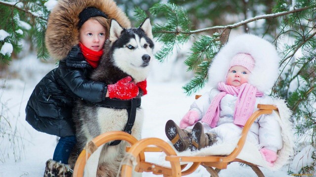 养大型犬的小女孩太多了，但大多数都处理不了