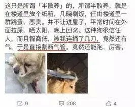 虐杀动物背后的心理阴影：孩子的行为家庭的责任